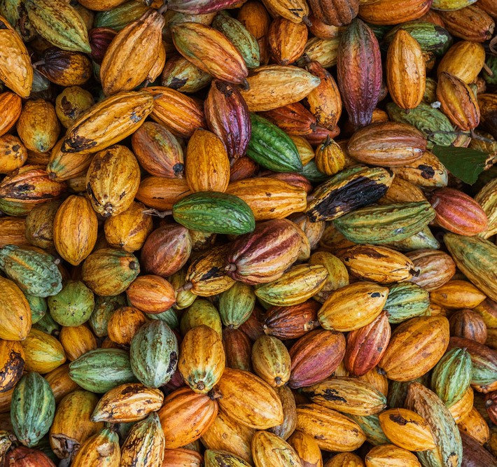 Cocoa beans from Ghana